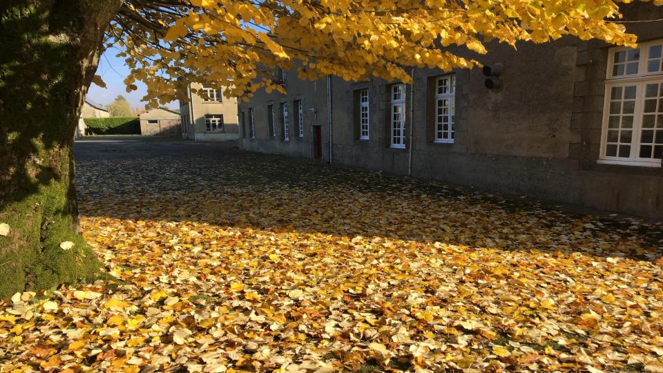 View of the EIAS campus in fall